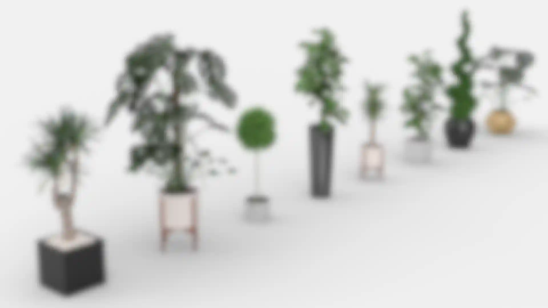 Asset Browser Update: Arch-Viz and MoGraph Edition image
