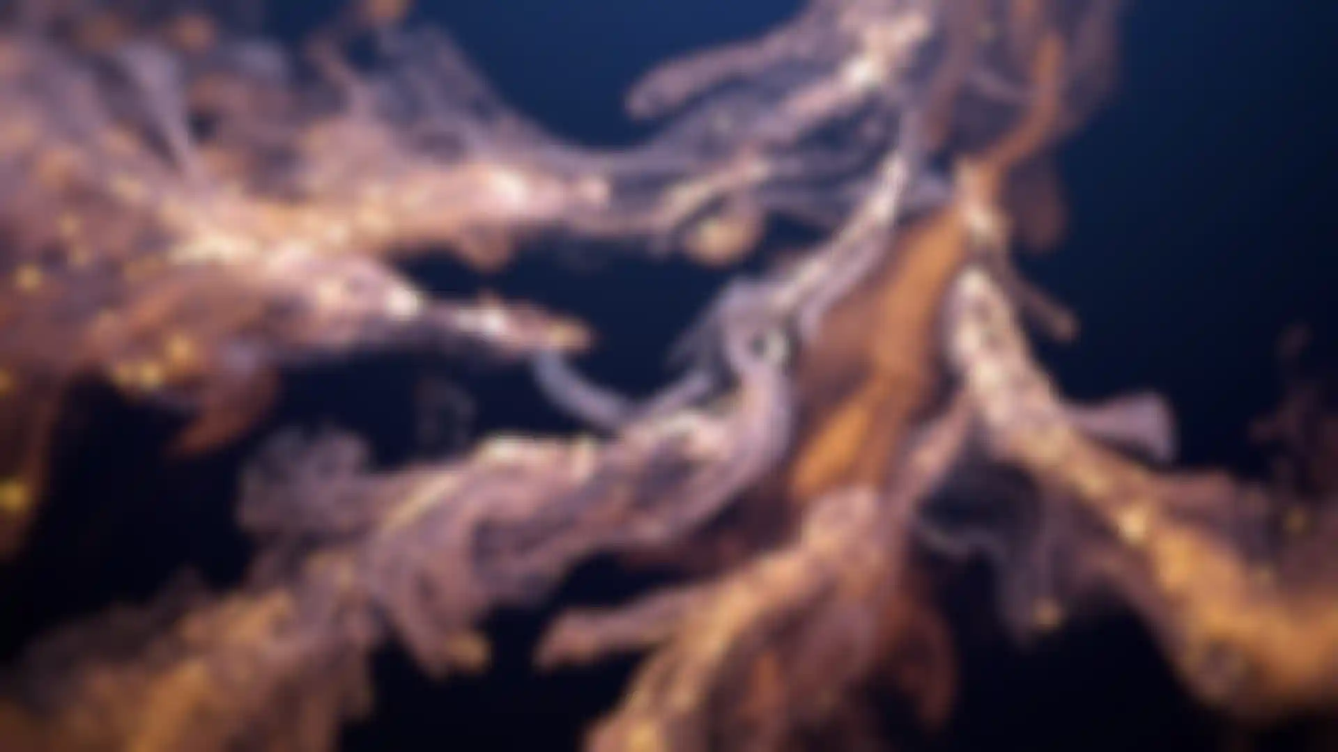 Getting Started with Particles in Cinema 4D image